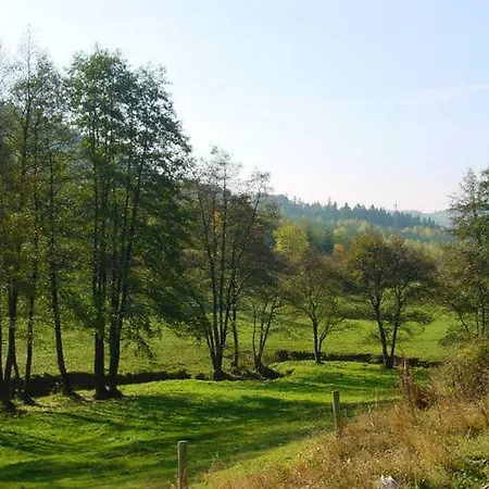 Eifel-liebe Ferienhaus